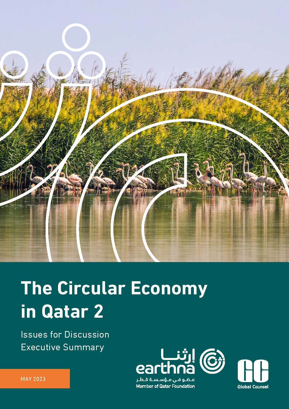 الاقتصاد الدائري في قطر 2، قضايا للمناقشة - الملخص التنفيذي
