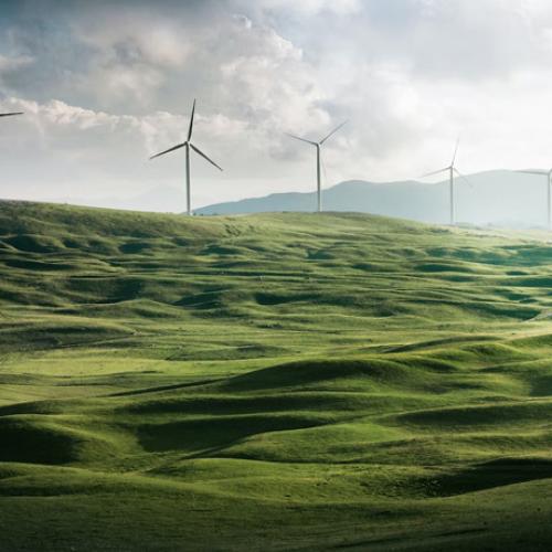 Biodiversity and Ecosystems