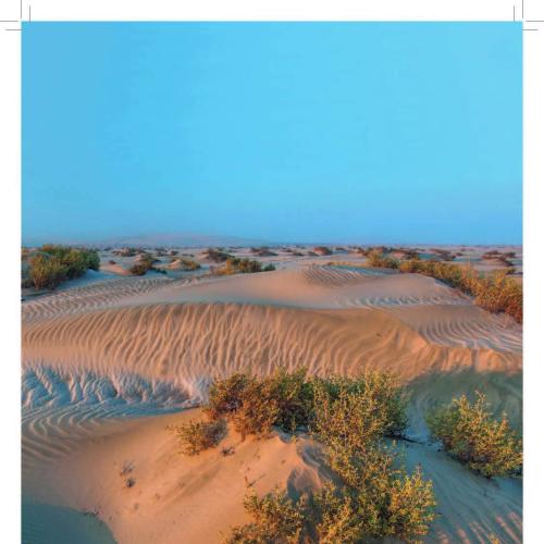 Biodiversity and Ecosystems