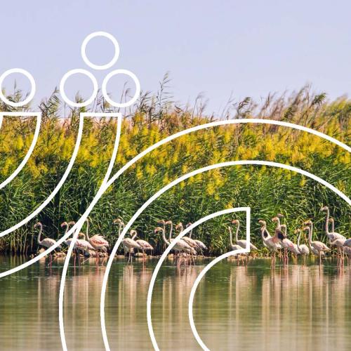 >The Circular Economy  in Qatar 2, Issues for Discussion - Executive Summary