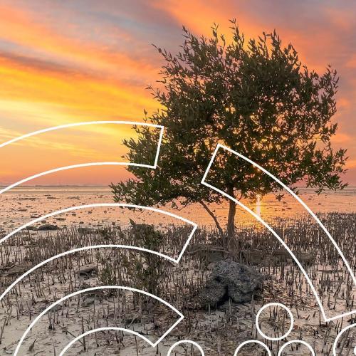 >The Circular Economy in Qatar 1 , Scoping Paper - Executive Summary