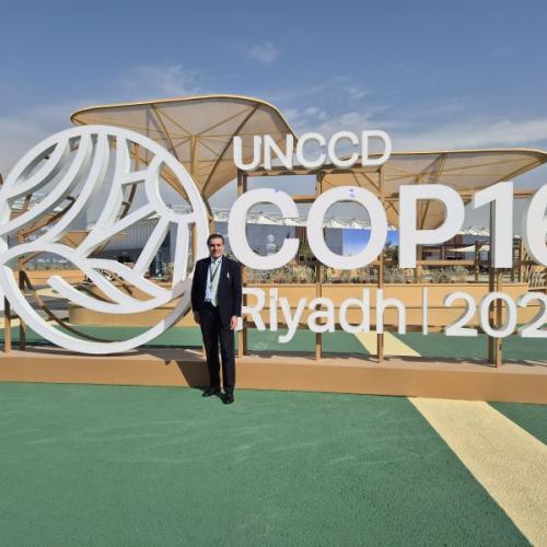 When it comes to global sustainability, land is everything
