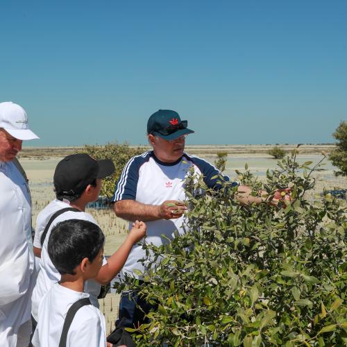 Qatar Sustainability Week 2024 Concludes with a Record-Breaking Showcase of Environmental Initiatives