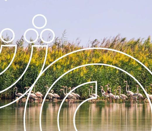 The Circular Economy  in Qatar 2 - Issues for Discussion