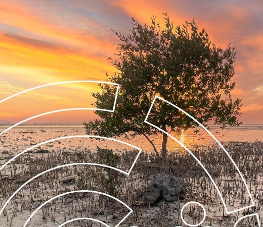 The Circular Economy in Qatar 1 - Scoping Paper